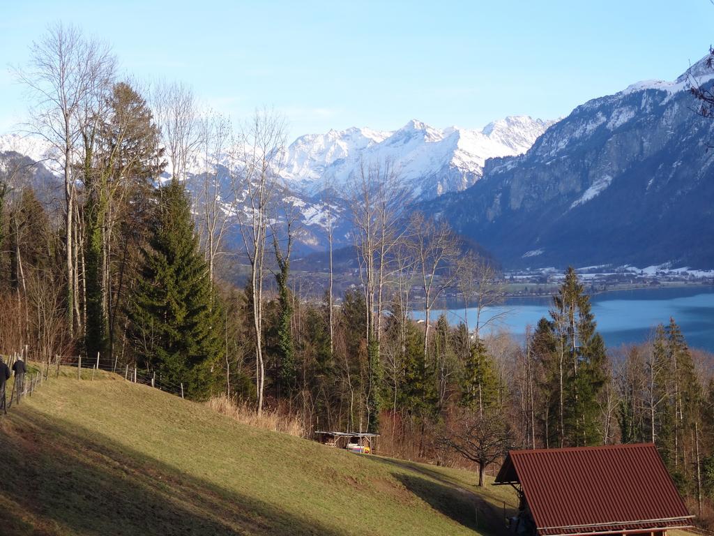 Seeli Hofstetten bei Brienz Cameră foto