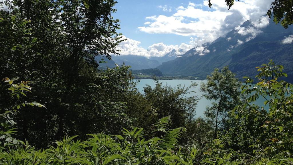Seeli Hofstetten bei Brienz Cameră foto